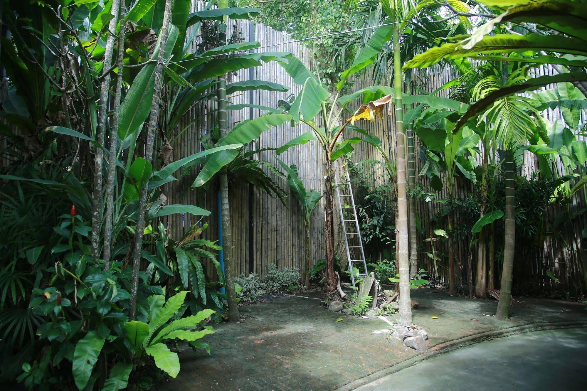 Oyo 585 Freedom Hostel @ Phi Phi Phi Phi Don Exterior foto